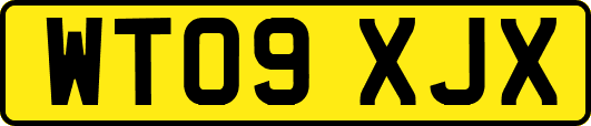 WT09XJX