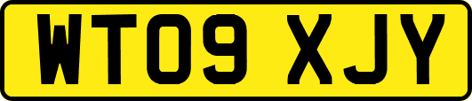 WT09XJY