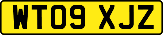 WT09XJZ