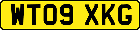 WT09XKG