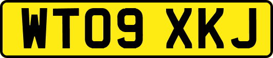 WT09XKJ