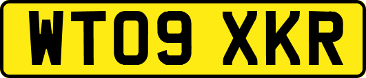 WT09XKR