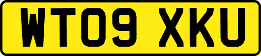 WT09XKU