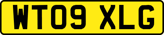 WT09XLG