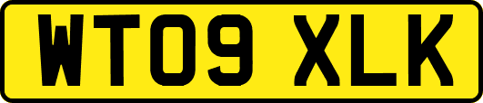 WT09XLK