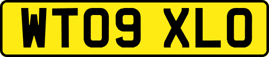 WT09XLO