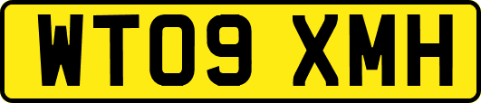 WT09XMH