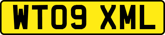 WT09XML