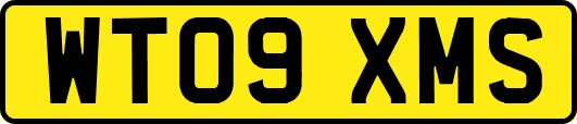 WT09XMS