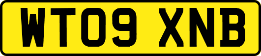 WT09XNB