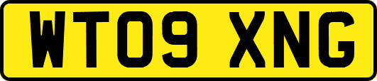 WT09XNG