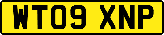 WT09XNP