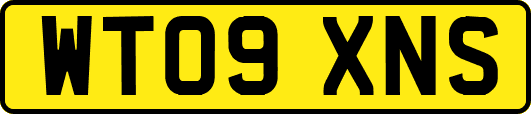 WT09XNS
