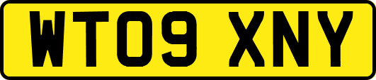 WT09XNY