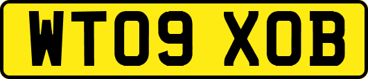 WT09XOB