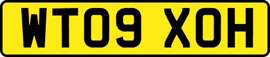 WT09XOH