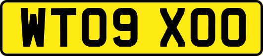 WT09XOO