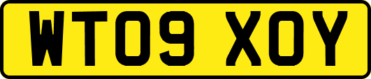 WT09XOY
