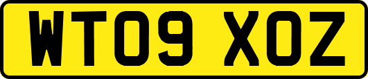WT09XOZ