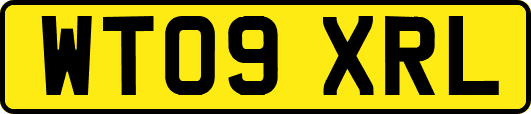 WT09XRL