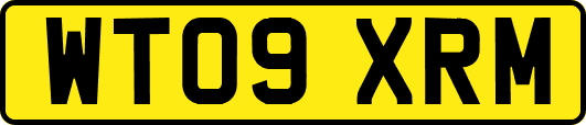WT09XRM