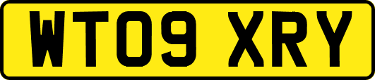 WT09XRY