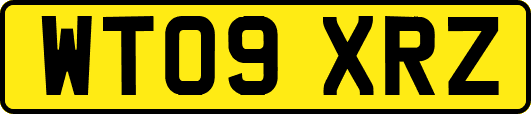 WT09XRZ