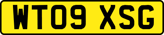 WT09XSG
