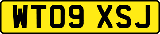 WT09XSJ