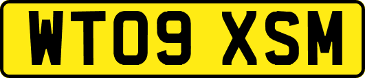 WT09XSM