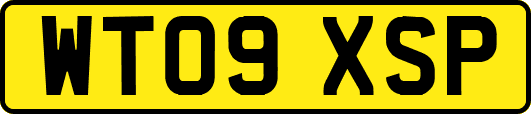 WT09XSP