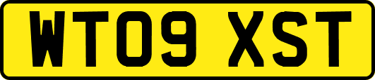 WT09XST