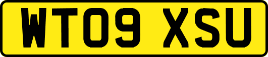 WT09XSU