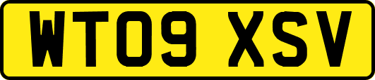 WT09XSV
