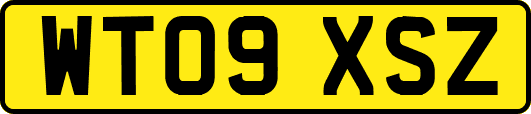 WT09XSZ