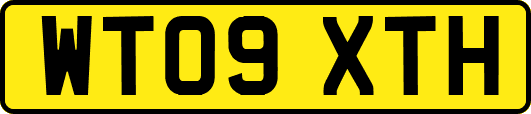 WT09XTH