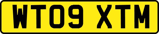 WT09XTM