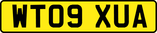 WT09XUA