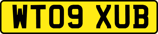 WT09XUB