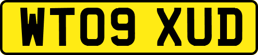 WT09XUD