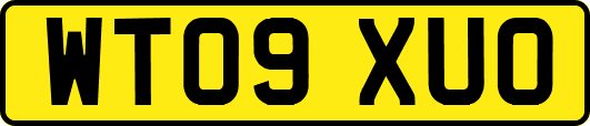 WT09XUO