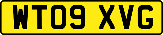 WT09XVG