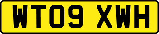 WT09XWH