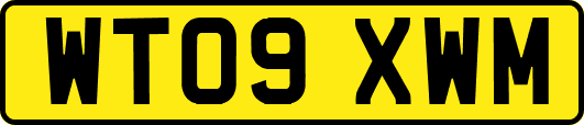 WT09XWM