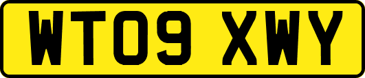 WT09XWY