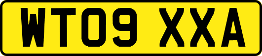 WT09XXA