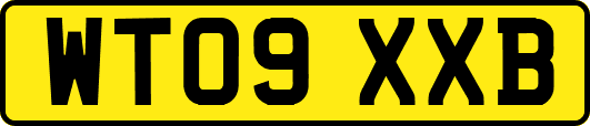 WT09XXB