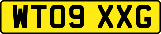 WT09XXG