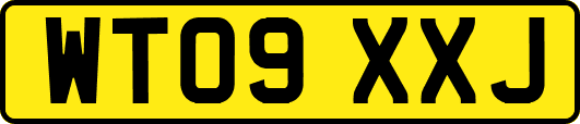 WT09XXJ