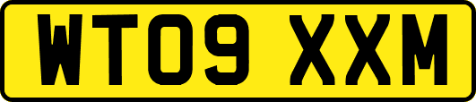 WT09XXM